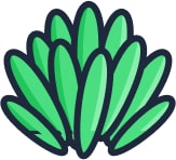 Feuille